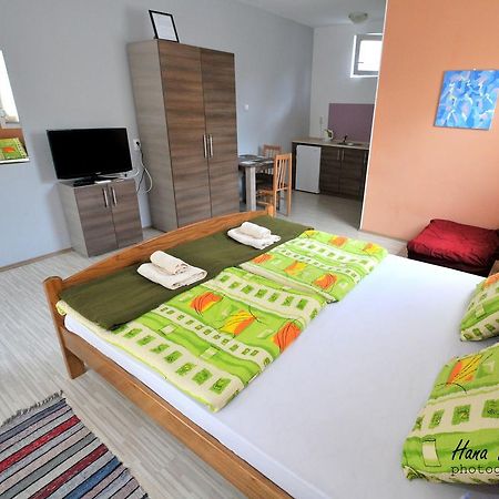 Apartments Svetlica Backi Petrovac Bagian luar foto